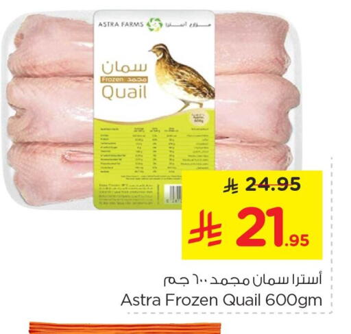 available at نستو in مملكة العربية السعودية, السعودية, سعودية - الخبر‎