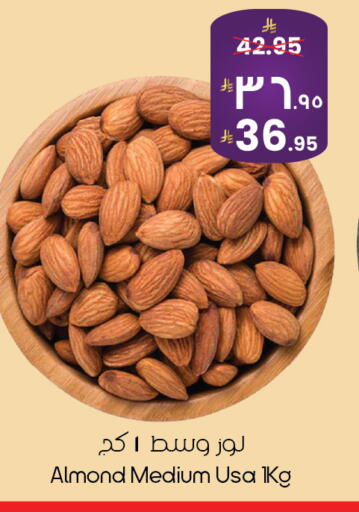 available at ستي فلاور in مملكة العربية السعودية, السعودية, سعودية - ينبع