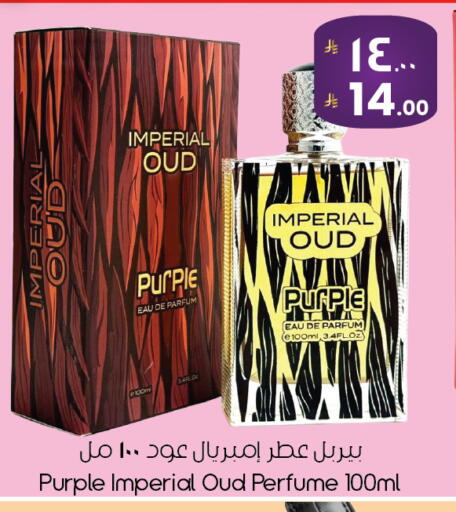 available at ستي فلاور in مملكة العربية السعودية, السعودية, سعودية - ينبع
