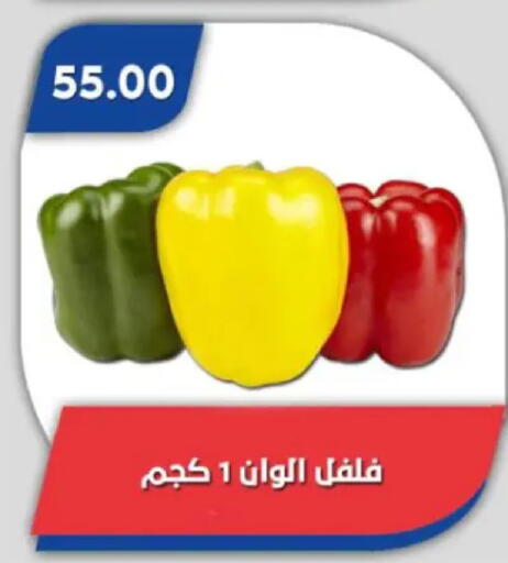 available at باسم ماركت in Egypt - القاهرة