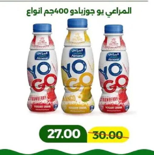 Mango available at Green Tree Hypermarket - Sohag in Egypt - Cairo
