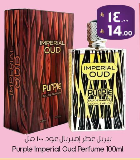 available at ستي فلاور in مملكة العربية السعودية, السعودية, سعودية - الأحساء‎