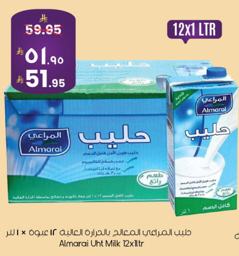 available at ستي فلاور in مملكة العربية السعودية, السعودية, سعودية - ينبع
