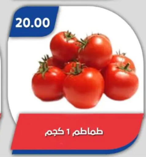available at باسم ماركت in Egypt - القاهرة