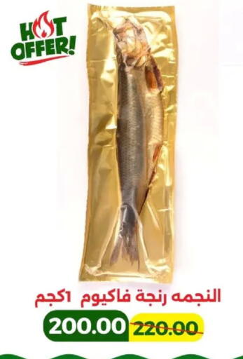 available at Green Tree Hypermarket - Sohag in Egypt - Cairo