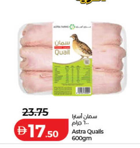 available at لولو هايبرماركت in الإمارات العربية المتحدة , الامارات - رَأْس ٱلْخَيْمَة