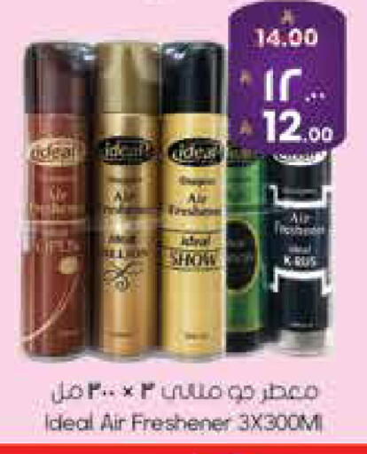 available at ستي فلاور in مملكة العربية السعودية, السعودية, سعودية - سكاكا