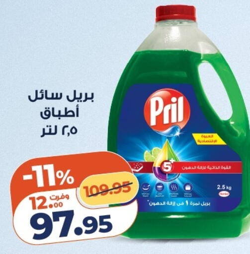 available at كازيون in Egypt - القاهرة