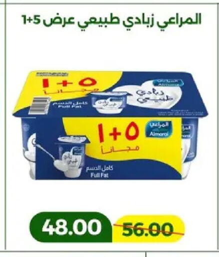available at Green Tree Hypermarket - Sohag in Egypt - Cairo