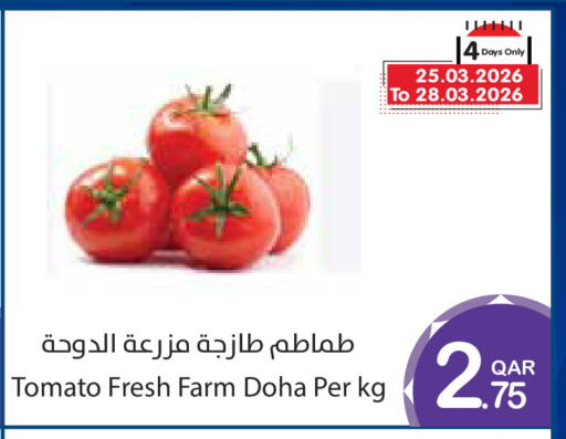 Tomato from Qatar available at ميغا مارت in قطر - الوكرة