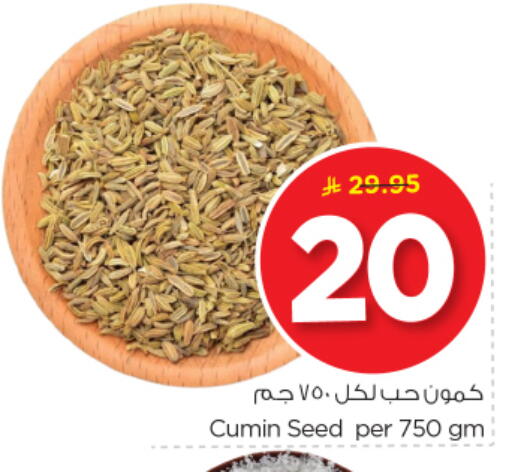Cumin available at نستو in مملكة العربية السعودية, السعودية, سعودية - الرياض