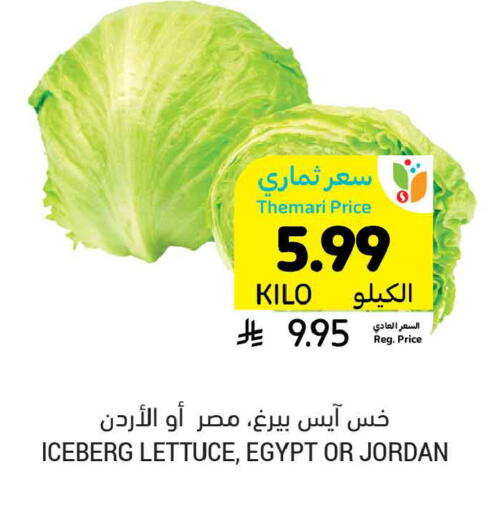 Lettuce from Egypt Jordan available at أسواق التميمي in مملكة العربية السعودية, السعودية, سعودية - الخبر‎