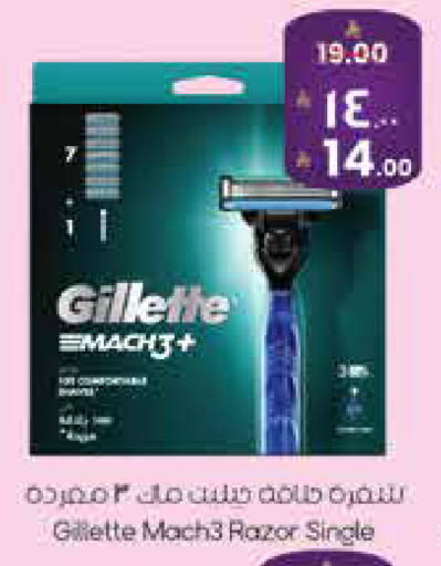 available at ستي فلاور in مملكة العربية السعودية, السعودية, سعودية - سكاكا