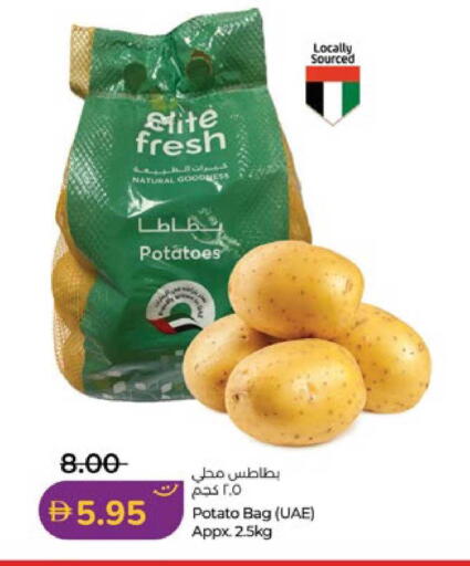 Potato available at لولو هايبرماركت in الإمارات العربية المتحدة , الامارات - أبو ظبي