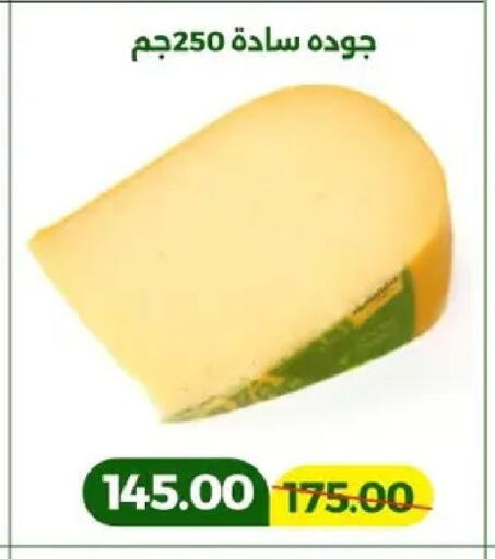 available at جرين تري هايبرماركت - سوهاج in Egypt - القاهرة