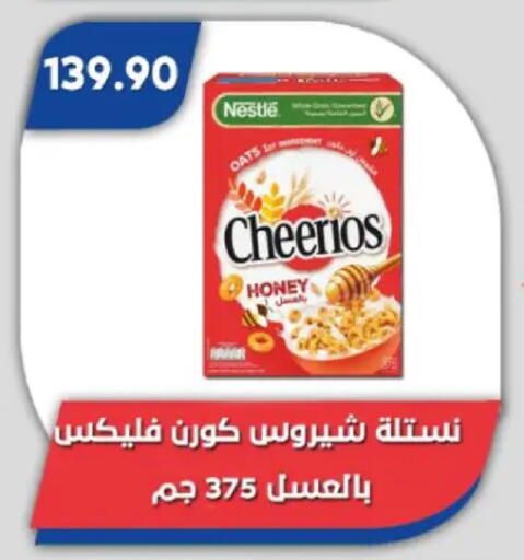 available at باسم ماركت in Egypt - القاهرة