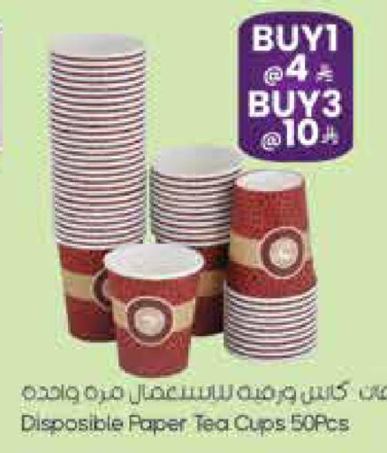 available at City Flower in KSA, Saudi Arabia, Saudi - Sakaka