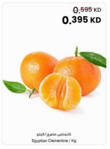 from Egypt available at The Sultan Center in Kuwait - Kuwait City