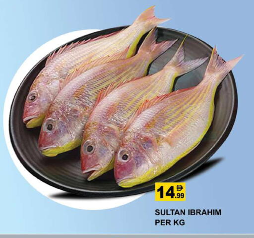 available at جلف هايبرماركت ذ.م.م in الإمارات العربية المتحدة , الامارات - رَأْس ٱلْخَيْمَة