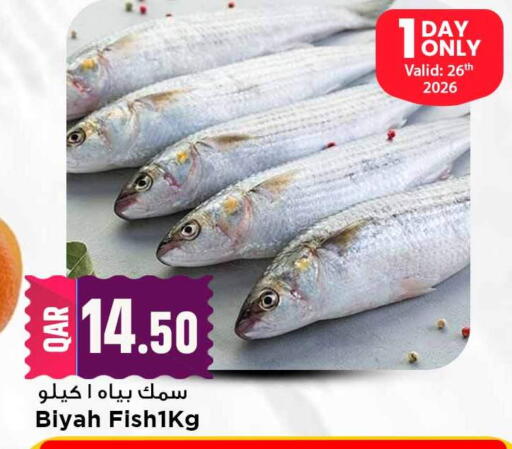 available at مرزا هايبرماركت in قطر - الريان