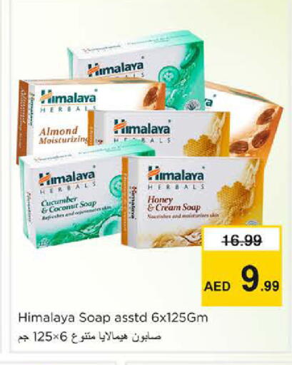 Coconut Cucumber available at نستو هايبرماركت in الإمارات العربية المتحدة , الامارات - الشارقة / عجمان