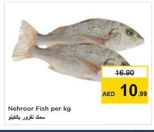available at نستو هايبرماركت in الإمارات العربية المتحدة , الامارات - دبي