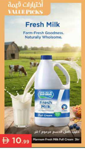 available at Istanbul Supermarket in UAE - Abu Dhabi