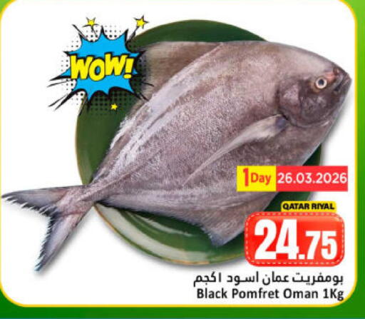 available at دانة هايبرماركت in قطر - الريان