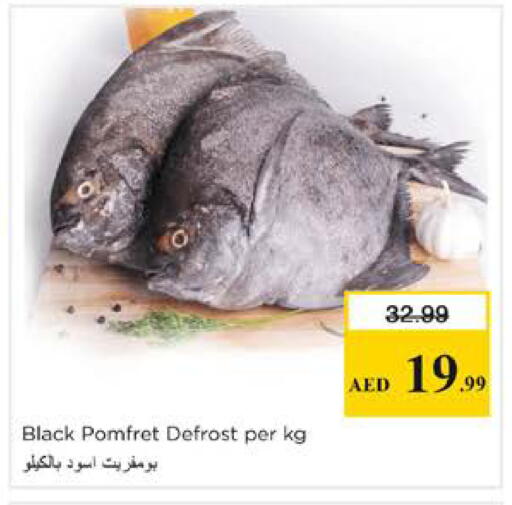 available at نستو هايبرماركت in الإمارات العربية المتحدة , الامارات - دبي