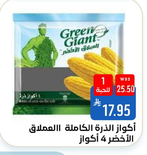 available at شبرا الطائف in مملكة العربية السعودية, السعودية, سعودية - الطائف