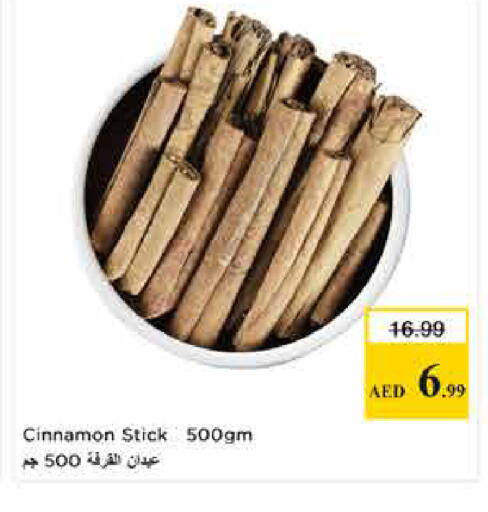 Cinnamon available at لاست تشانس in الإمارات العربية المتحدة , الامارات - ٱلْفُجَيْرَة‎