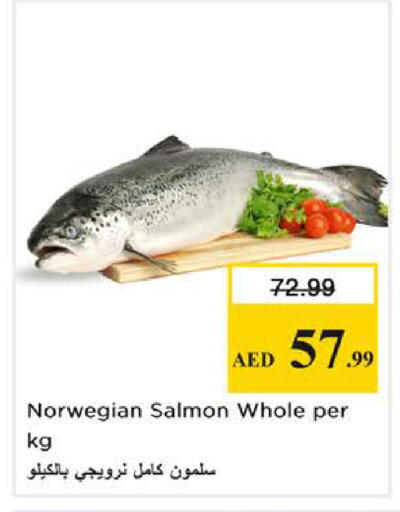 available at نستو هايبرماركت in الإمارات العربية المتحدة , الامارات - الشارقة / عجمان