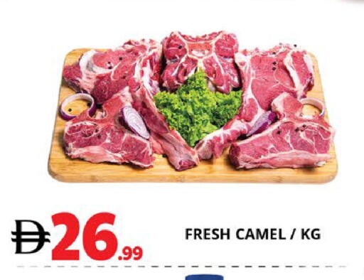 available at اكسبرس المدينة هايبرماركت in الإمارات العربية المتحدة , الامارات - أبو ظبي