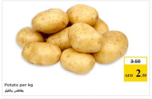 Potato available at Nesto Hypermarket in UAE - Dubai