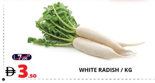 Radish available at اكسبرس المدينة هايبرماركت in الإمارات العربية المتحدة , الامارات - أبو ظبي
