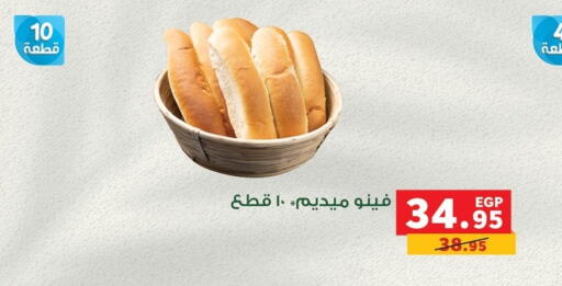 available at بنده in Egypt - القاهرة