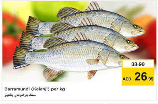 available at نستو هايبرماركت in الإمارات العربية المتحدة , الامارات - دبي