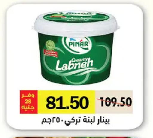 available at Royal House in Egypt - Cairo