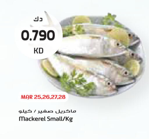 available at Grand Costo in Kuwait - Kuwait City