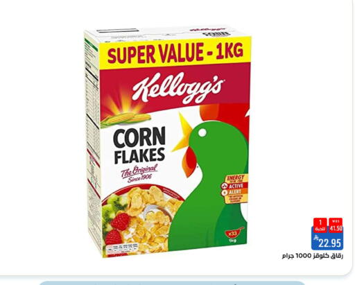 available at شبرا الطائف in مملكة العربية السعودية, السعودية, سعودية - الطائف