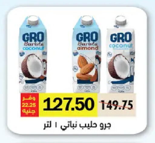 Coconut available at Royal House in Egypt - Cairo