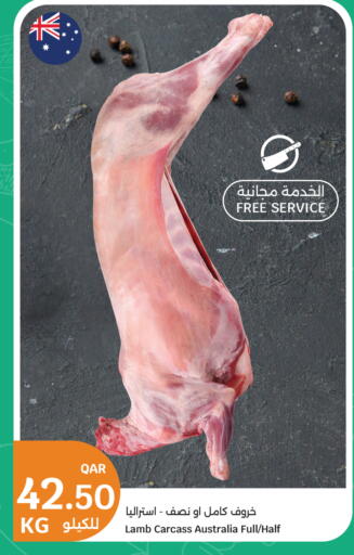 available at City Hypermarket in Qatar - Al Shamal