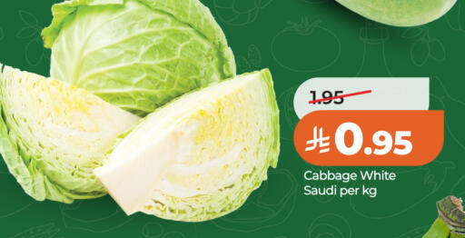 Cabbage from Saudi Arabia available at LULU Hypermarket in KSA, Saudi Arabia, Saudi - Riyadh