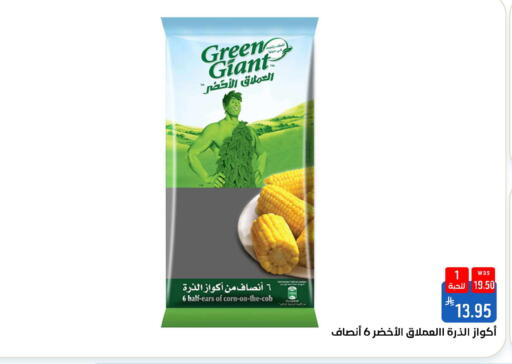 available at شبرا الطائف in مملكة العربية السعودية, السعودية, سعودية - الطائف