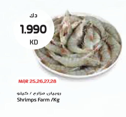 available at Grand Costo in Kuwait - Kuwait City