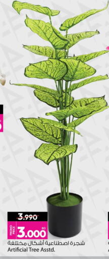 available at أنصار جاليري in البحرين