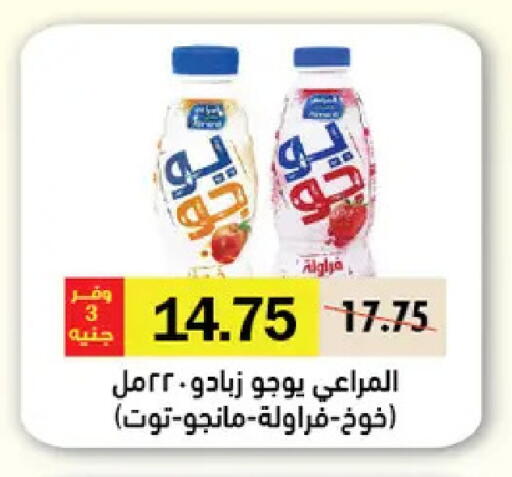 available at رويال هاوس in Egypt - القاهرة