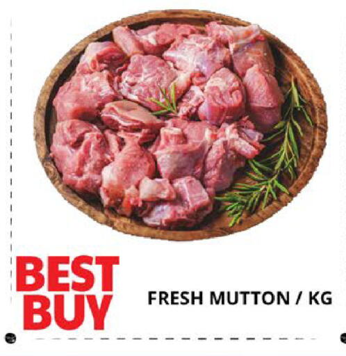 available at اكسبرس المدينة هايبرماركت in الإمارات العربية المتحدة , الامارات - أبو ظبي