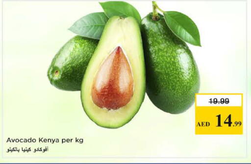 Avocado from Kenya available at نستو هايبرماركت in الإمارات العربية المتحدة , الامارات - الشارقة / عجمان