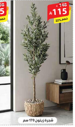 available at Alhadaya Center in KSA, Saudi Arabia, Saudi - Jeddah